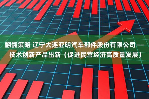 翻翻策略 辽宁大连亚明汽车部件股份有限公司—— 技术创新产品出新（促进民营经济高质量发展）